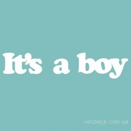 Чипборд от Вензелик - It's a boy, размер: 18*88 мм