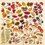 Лист для вырезания Botany autumn, ТМ Фабрика Декору