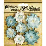 Набор объемных цветов (диких роз) Petaloo - Penny Lane Mini Wild Roses x7 - Robin's Egg Blue