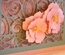 Лезвие Cherry Blossom от Cheery Lynn Designs