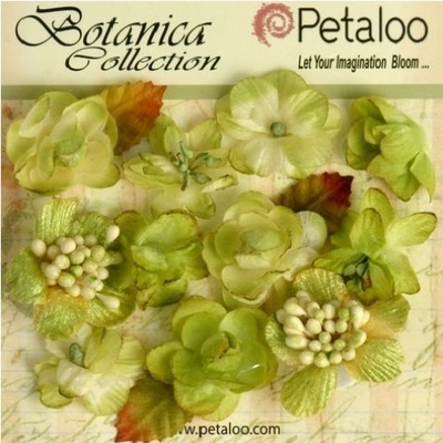 Набор объемных цветов Petaloo - Botanica Minis - Pistachio