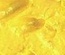 Текстурная акриловая паста Shimmerz - Dazzlerz Lemon Drop, гладкая, с блеском, 59 мл