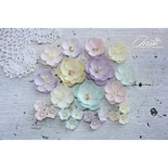 Набор цветов TM Iris - Anemone Baby Shabby, 23 шт
