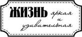 Акриловый штамп ''Жизнь яркая''