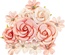 Цветы Prima - Sweet Apricot - Apricot Honey, 12 шт.