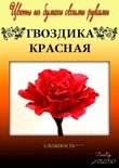Набор тутовой бумаги для создания цветов - гвоздика красная