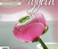 Журнал Ручные Чудеса №10 2012