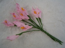 Каллы BABY PINK, 8мм-10мм, 5 шт.