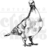 Акриловые штампы дизайна Елены Виноградовой "Смотрящий голубь"