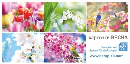 Карточки на плотном картоне от Евгения Курдибановская ТМ - "Весна", 5х7 см, 10 штук
