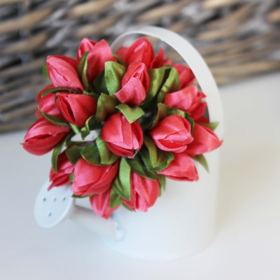 Подснежники коралловые, 20 шт.