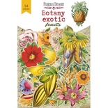 Набор высечек коллекция Botany exotic fruits, ТМ Фабрика Декора