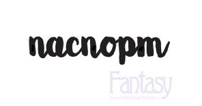 Нож для вырубки "Fantasy" слово "Паспорт 1 "