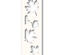 Набор из ножа для вырубки и трафарета от Poppystamps - Maple Leaf Side Strips and Stencil