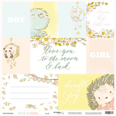 Лист односторонней бумаги от Scrapmir - Карточки (ENG) - Boy or Girl, 30x30см