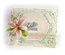 Ножи от Spellbinders - Create a Stargazer Lily