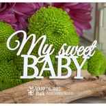 Чипборд ScrapBox - Надпись "My sweet Baby" Hi-360