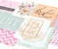 Набор карточек Project Life by Becky Higgins - Core Kit - JH Charming, 576 штук