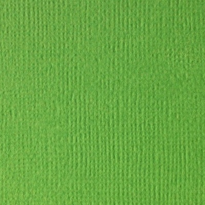 Кардсток текстурный ярко-зеленый, 30,5*30,5 см, 216 гр/м SCB 172312058