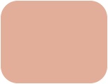 Маркер из серии - Brown ProMarkers (Коричневая гамма) (Tan (№O528 Коричневый)), PMSTAN