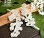 Ножи для вырубки Набор 2 декоративные веточки Cu-F-003, TM ScrapBox