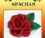 Набор тутовой бумаги для создания цветов - роза красная