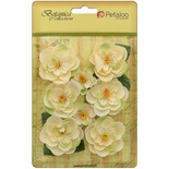 Набор цветов Petaloo - Botanica Ranunculus - Ivory
