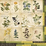 Карточки Botany summer (укр.), ТМ Фабрика Декору