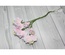 Набор цветов TM Iris - Vanille flowers Свежее утро, розовые с голубым, 5 шт