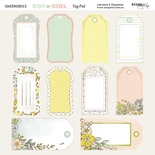 Лист двусторонней бумаги от Scrapmir - Tag-Pad - Boy or Girl, 20х20см 