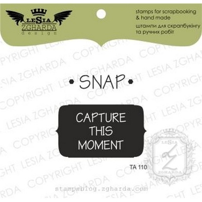 Набор акриловых штампов Lesia Zgharda TA110 Snap capture this moment