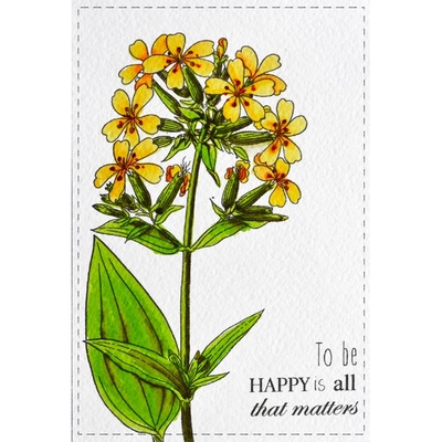 Набор открыток для раскрашивания маркерами Botany Summer, ТМ Фабрика Декору