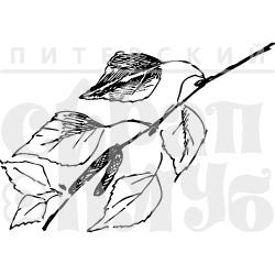 Акриловые штампы дизайна Елены Виноградовой "Длинная березовая веточка"