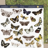 Лист двусторонней бумаги 20х20см Бабочки Herbarium Wild summer от Scrapmir