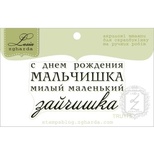 Акриловый штамп Lesia Zgharda TRU175 С Днем Рождения мальчишка, размер 5х2,9 см.