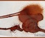 Краска-спрей 13arts - Ayeeda Mist - Pearl Brown