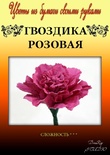 Набор тутовой бумаги для создания цветов - гвоздика розовая