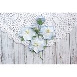 Набор цветов TM Iris - Blossom Голубые, 5 шт