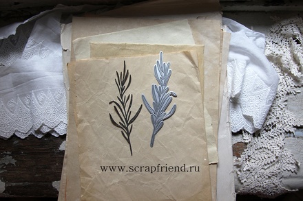 Нож для вырубки от Scrapfriend - Тархун, 4,5х13,5см