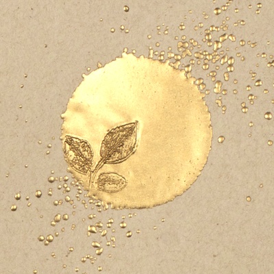 Пудра-эмаль для эмбоссинга  от Stampendous  - Chunky Gold, 19 грамм