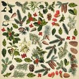 Лист с картинками для вырезания Winter botanical diary 30,5х30,5 см, ТМ Фабрика Декора