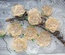 Набор цветов Royalty flowers Нежный персик, ТМ Iris, 9 шт