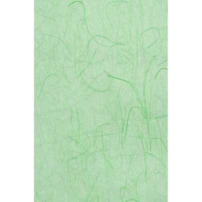 Шелковая бумага, зеленая, 50*70 см, ТМ Santi
