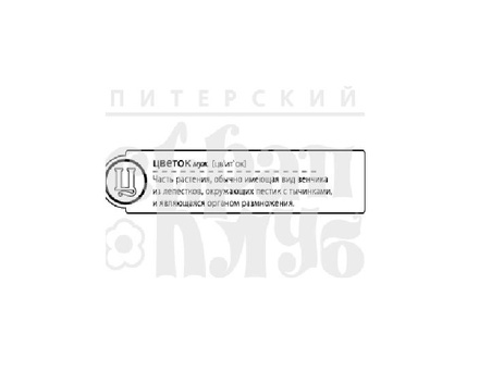 Штамп от Питерского скрапклуба - "Ц - Цветок" (Алфавит)