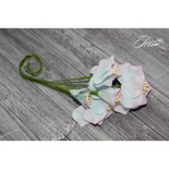 Набор цветов TM Iris - Vanille flowers Северное сияние, голубые с розовым, 5 шт