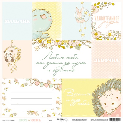 Лист односторонней бумаги от Scrapmir - Карточки (RU) - Boy or Girl, 30x30 см