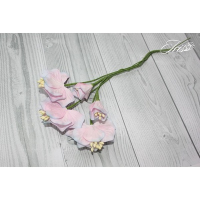 Набор цветов TM Iris - Vanille flowers Свежее утро, розовые с голубым, 5 шт