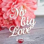 Чипборд ScrapBox - надпись My Big Love Hi-233