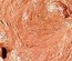 Текстурная акриловая паста Shimmerz - Texturez Sandy Stone, грубая, с микрочастицами, 59 мл