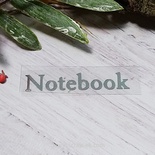 Термонадпись "notebook" №2, серебро